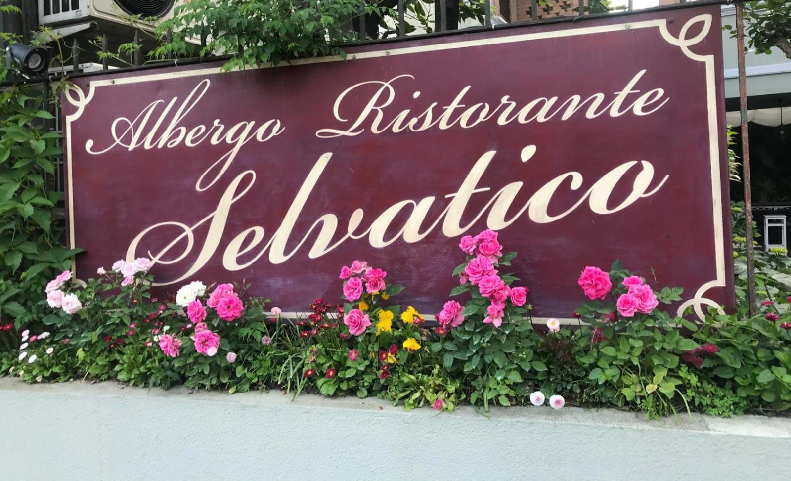 Albergo & Ristorante Selvatico Rivanazzano Terme Exterior photo